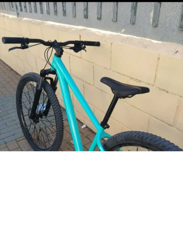 Bicicleta de montaña