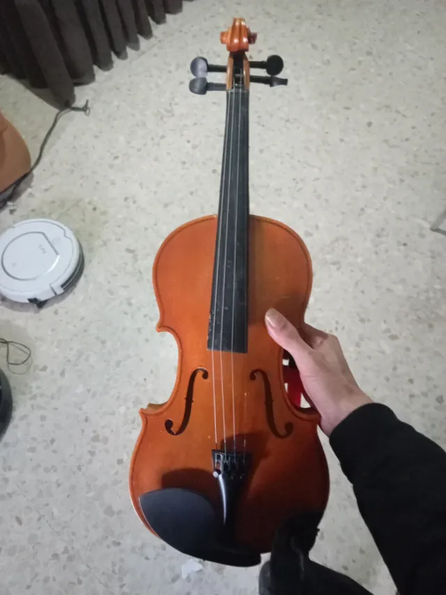 Violín clásico