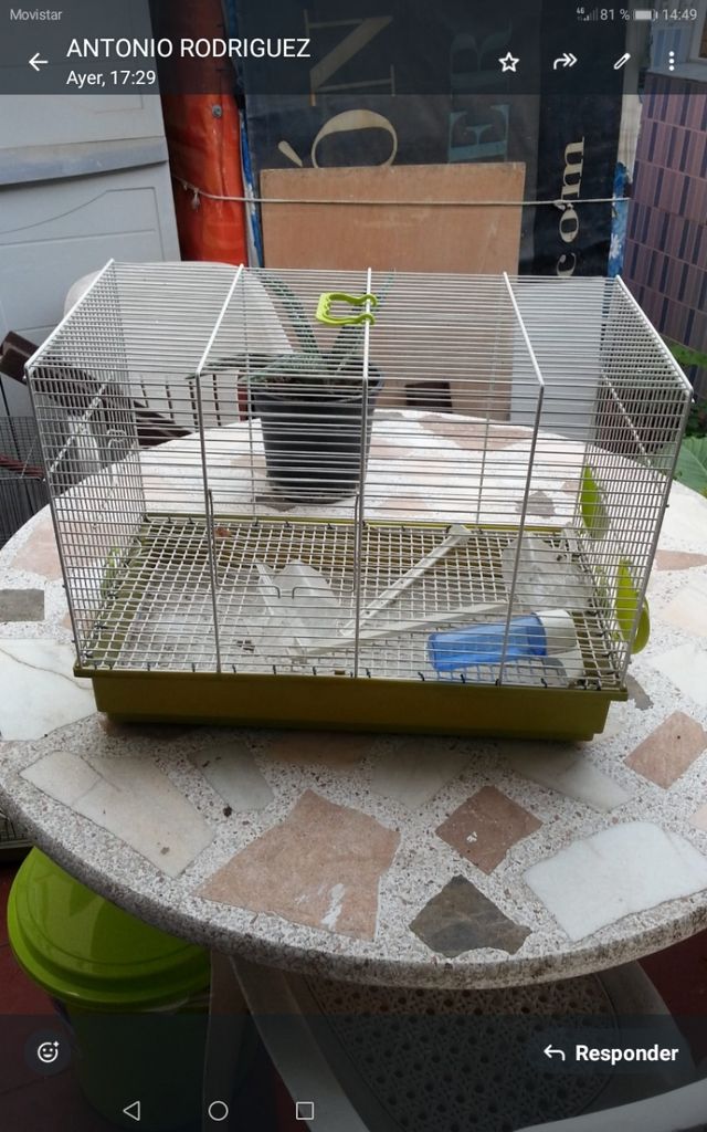 Jaula para canarios poco uso. Con utensilios,