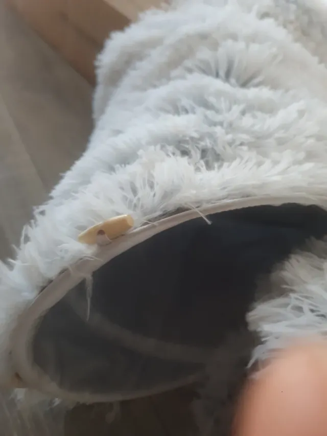 Cama túnel para Gatos