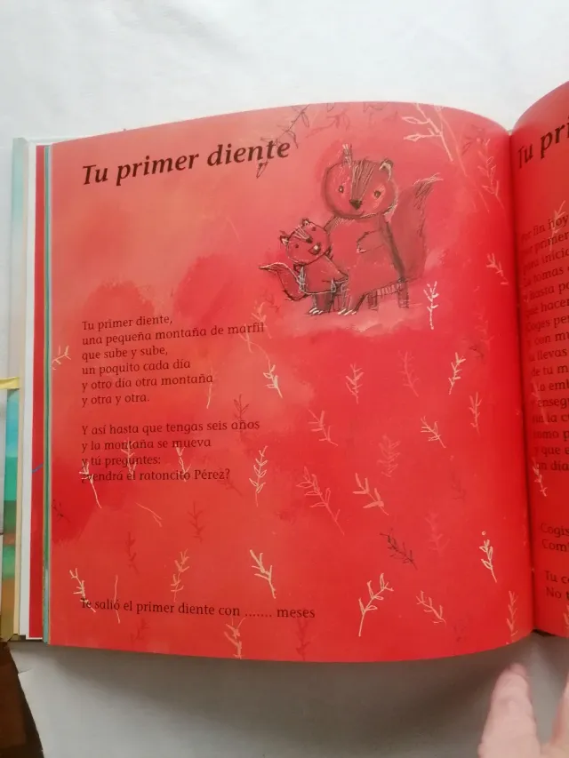 Cuaderno del bebé - Lourdes Huanqui