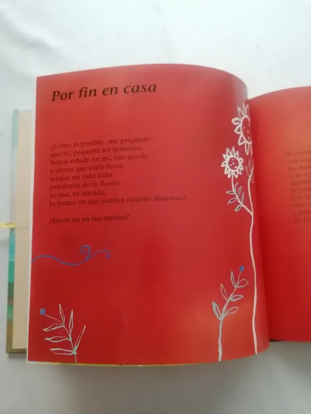 Cuaderno del bebé - Lourdes Huanqui