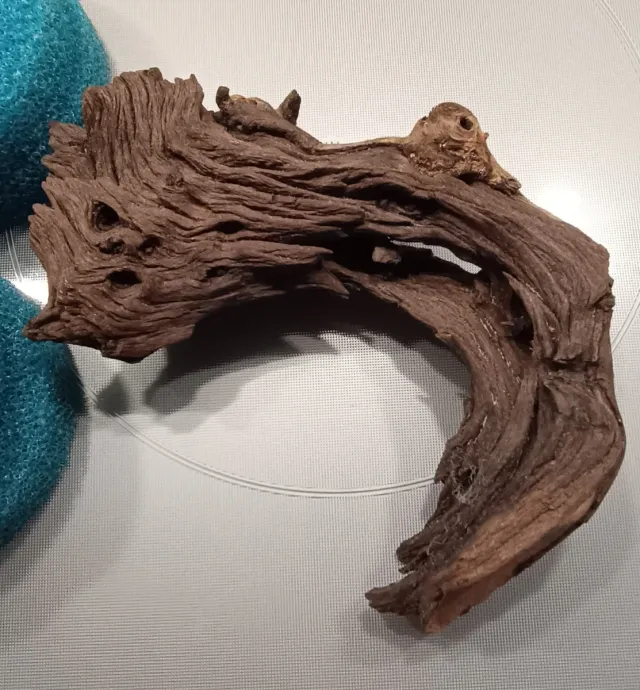 Tronco y esponjas para acuario