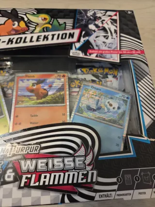 Pokemon Poster Kollektion Schwarze & Weiße Blitze