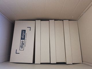 Lote 100 Cajas Cartón para Zapatos