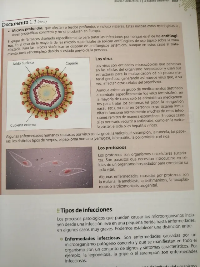 Atención higiénica