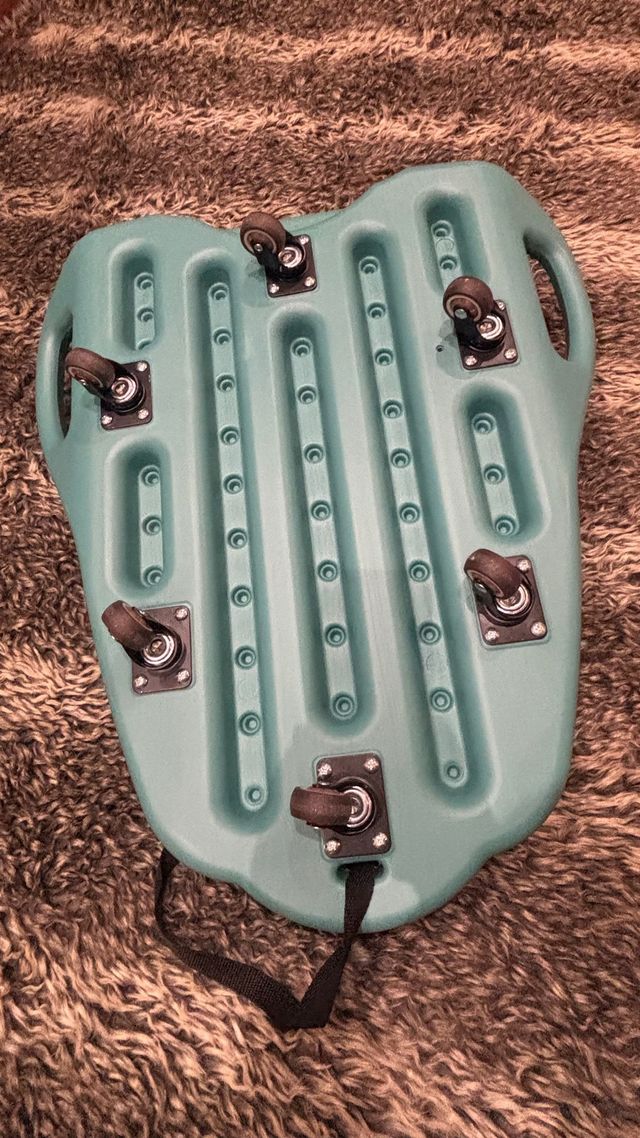 Patinete acuático tortuga