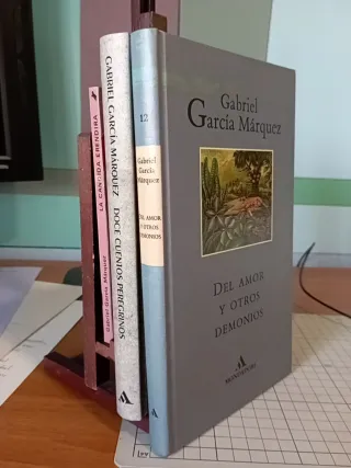 Del Amor y Otros Demonios, La Cándida, Doce cuento