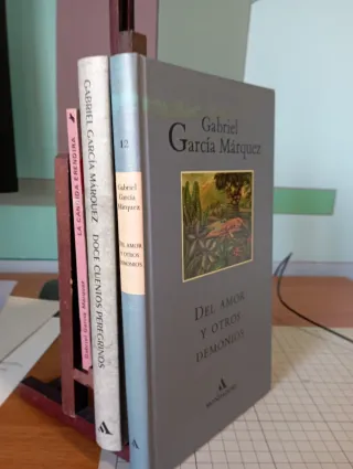 Del Amor y Otros Demonios, La Cándida, Doce cuento