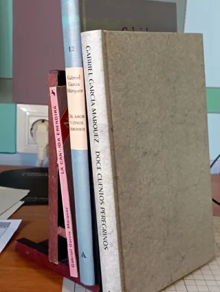 Del Amor y Otros Demonios, La Cándida, Doce cuento