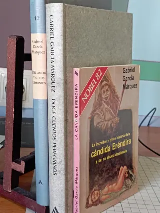 Del Amor y Otros Demonios, La Cándida, Doce cuento