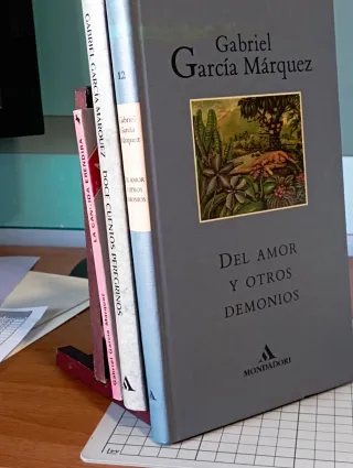 Del Amor y Otros Demonios, La Cándida, Doce cuento