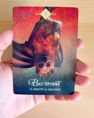 The Spirit Animal Oracle Carte Destiny Future New