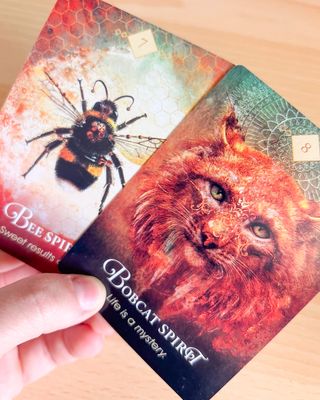 The Spirit Animal Oracle Carte Destiny Future New