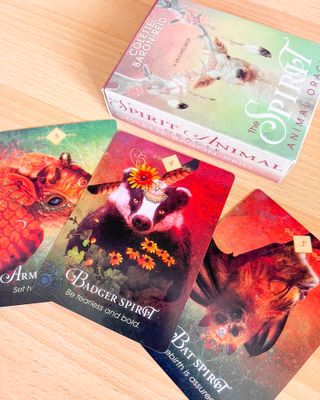 The Spirit Animal Oracle Carte Destiny Future New
