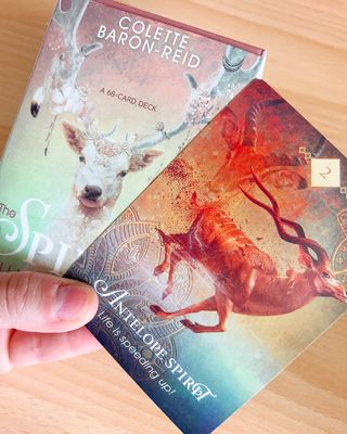 The Spirit Animal Oracle Carte Destiny Future New