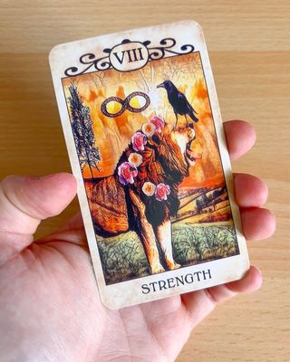 Crow Tarot Mazzo Carte Oracle Destiny Future Kids