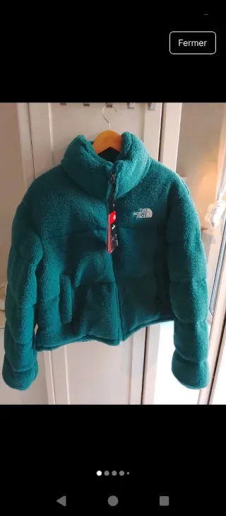 Chaqueta The North Face verde
