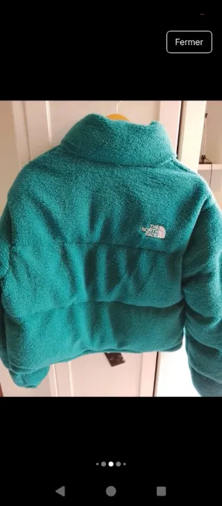 Chaqueta The North Face verde