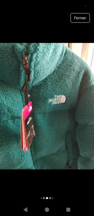 Chaqueta The North Face verde