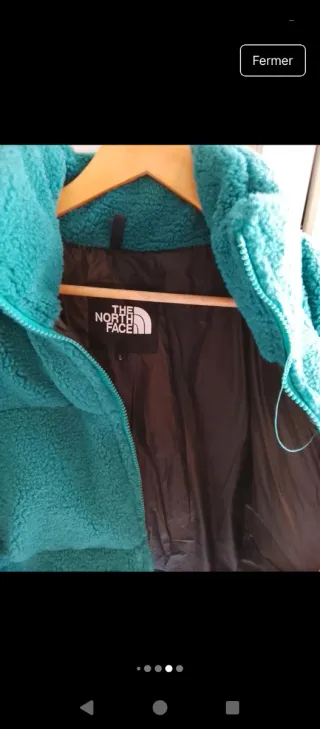 Chaqueta The North Face verde