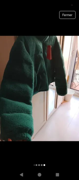 Chaqueta The North Face verde