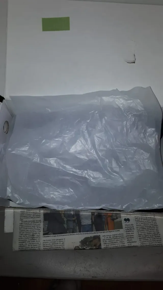 Scarpe Midnight Monster Teschio Zombie