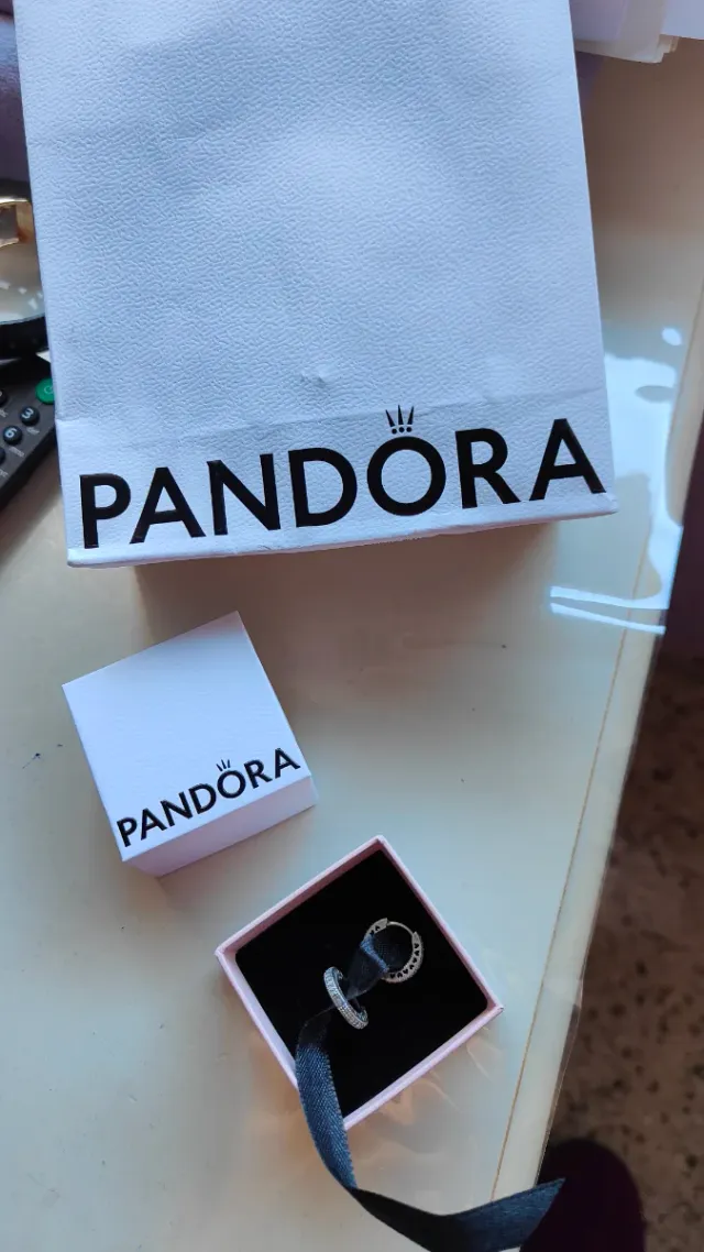 Orecchini a cerchio Pandora in argento