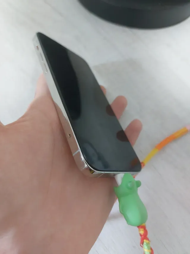 iPhone 12 Pro Despiece