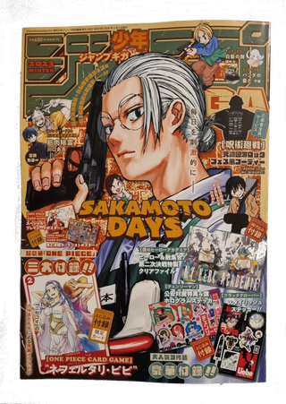 Riviste Giapponesi + Pacchetto One Piece