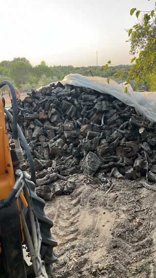 Leña de olivo y de eucalipto reparto a domicilio