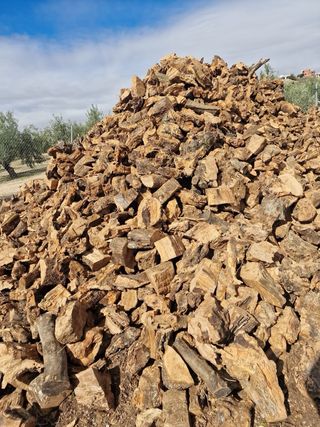 Leña de olivo y de eucalipto reparto a domicilio