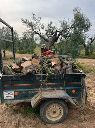 Leña de olivo y de eucalipto reparto a domicilio