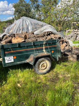 Leña de olivo y de eucalipto reparto a domicilio