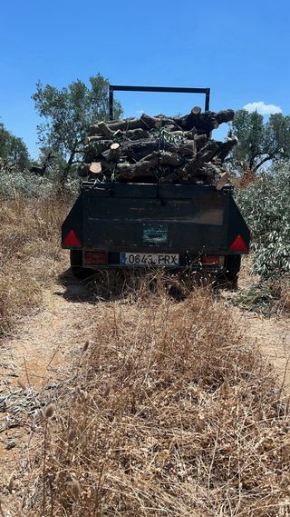 Leña de olivo y de eucalipto reparto a domicilio