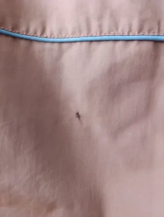 Pantalón nieve Quiksilver chica talla 2