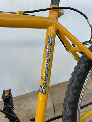 Bicicleta de Montaña 26 pulgadas
