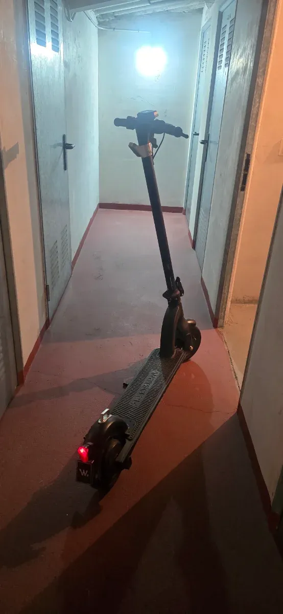 Patinete Eléctrico Wayscral