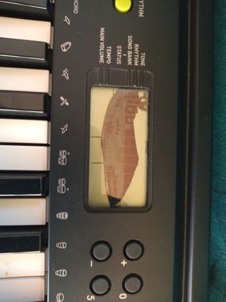 Teclado Casio CTK-240