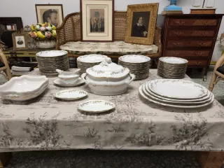 Vajilla Bidasoa Antigua porcelana