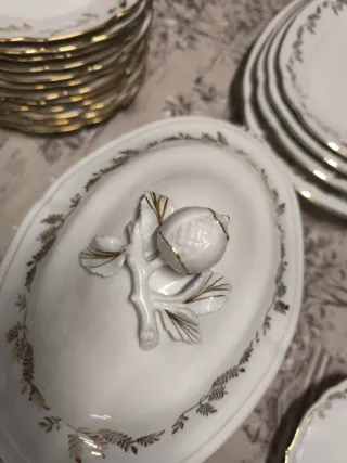 Vajilla Bidasoa Antigua porcelana