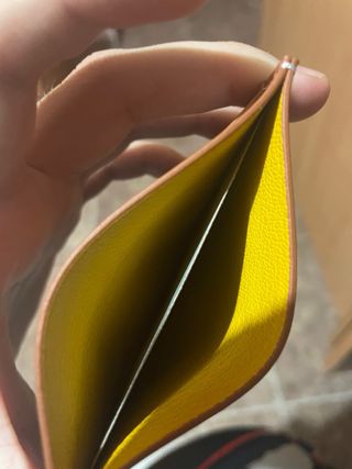 Tarjetero Goyard Verde