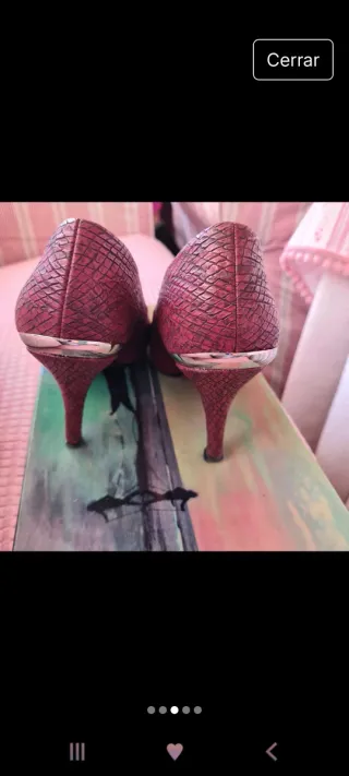 Zapato salón serpiente burdeos detalle dorado