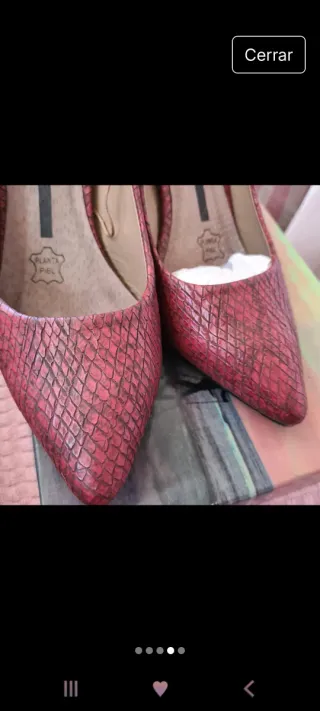 Zapato salón serpiente burdeos detalle dorado