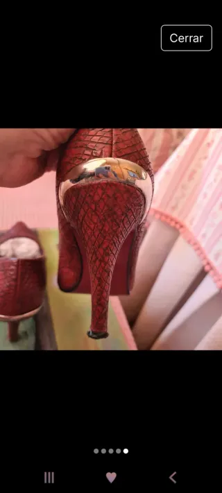 Zapato salón serpiente burdeos detalle dorado