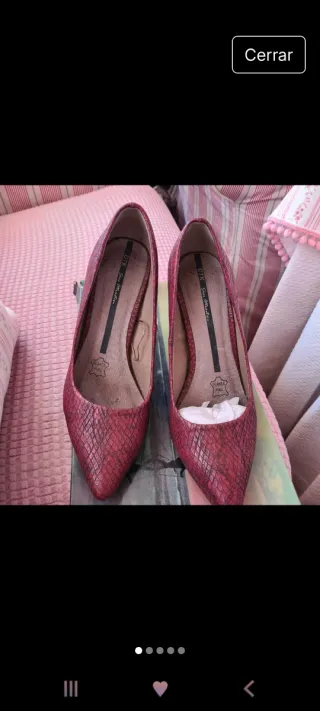 Zapato salón serpiente burdeos detalle dorado