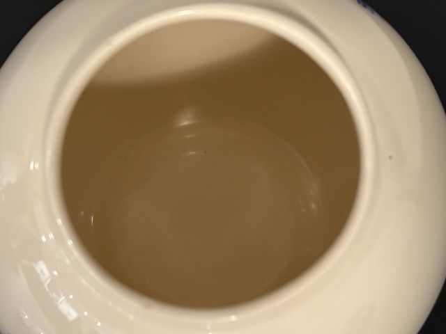 Bote de jengibre porcelana Bristol Pottery England