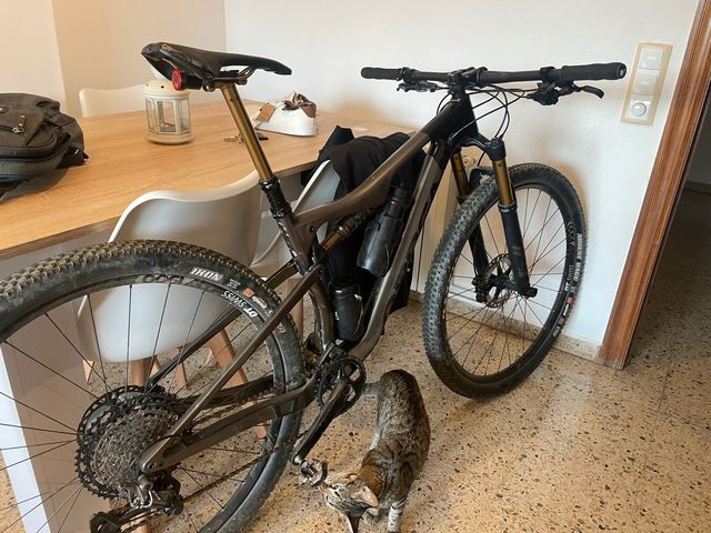 LEER ORBEA OIZ M10 tr t.M full kashima