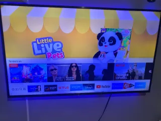 Televisor Samsung 55 Smart TV