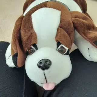 Peluche cagnolino
